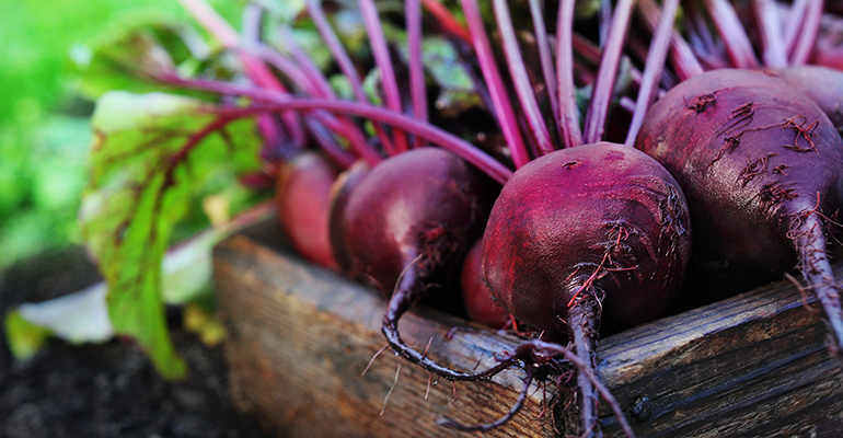 Plant-based brand launches beet jerky