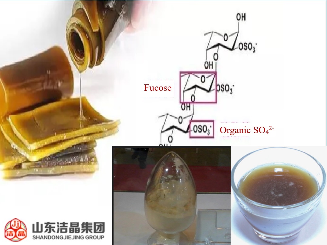 Fucoidan benefits